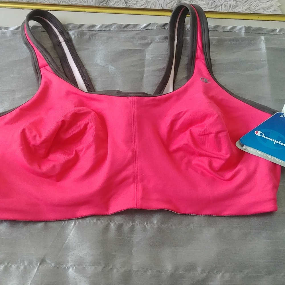 Womens wicking  stay dry Champions women,s hidden under sports bra NWT 40/42 C/D